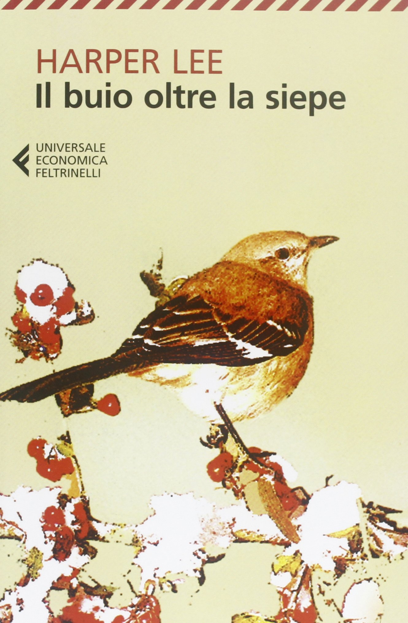 Il buio oltre la siepe di Harper Lee